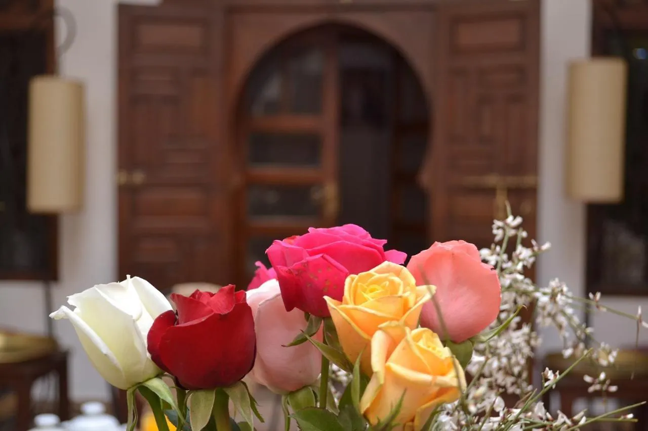 Riad Morocco Sky Marrakesh